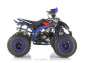 Preview: Apollo ATV Falcon 125cc